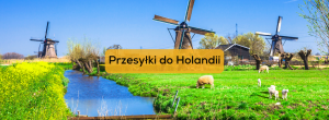 Na co zwrócić uwagę przy pakowaniu przesyłki do Holandii? - sprawdzone sposoby