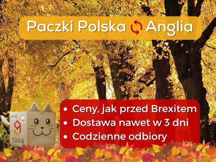 Paczki do Polski, Paczki do Anglii, paczki do Szkocji, Walii i Irlandii - wyślij przesyłkę kurierem.